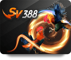 SBOTOP Xổ Số May Mắn: Các Bước Để Tham Gia Dễ Dàng